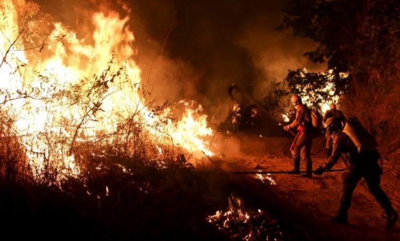 Queimadas em Goiás