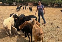 Produtor Rural_960x677