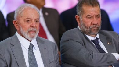 lUPI lULA