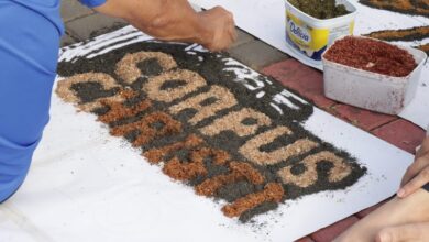 Celebra Canedo 2025 (2)_