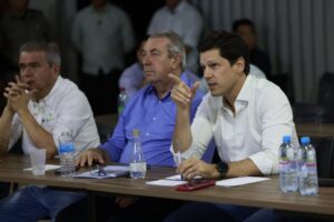 VICE_CONFIRMADA_DUPLICACAO_DA_GO_010_800x533