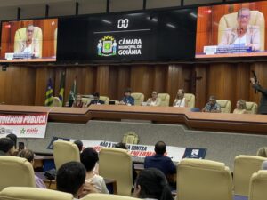 Audiençia publica
