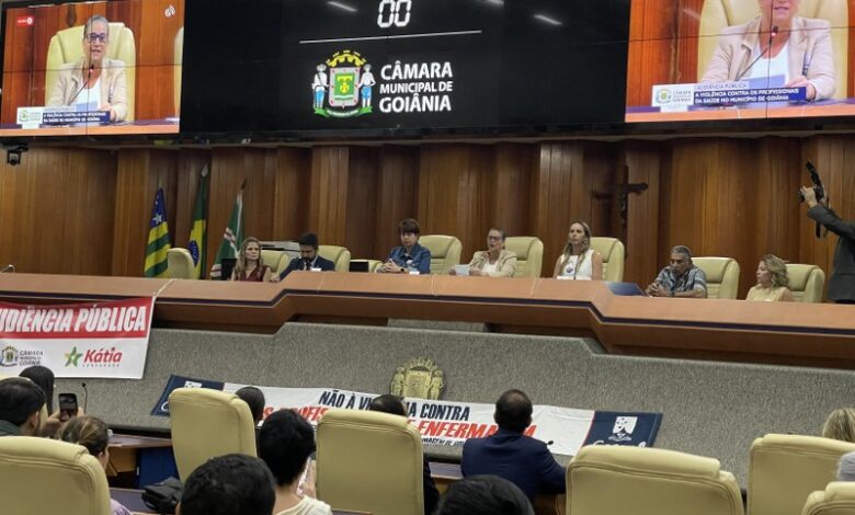 Audiençia publica