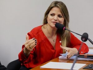 Deputada Federal Flá_