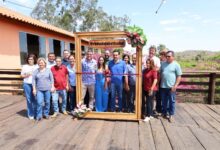 Festa da jaboticaba Hidrolândia Goiás (2)