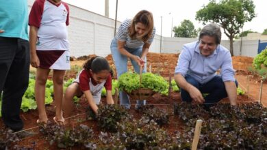 Hosta nas escolas de Aparecida (1)_