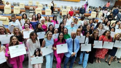 Homenagens camara goiania