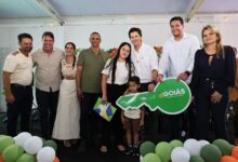 Casas-custo-zero-Crominia_Vice-1215x810_800x533