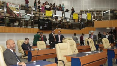 PLENARIO CÂMARA GYN