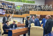 plenario camara gyn