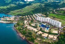 IMAGEM TAYAYÁ_778x600