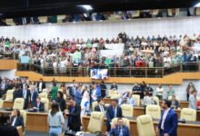 abertura camara Gyn_