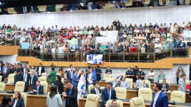 abertura camara Gyn_