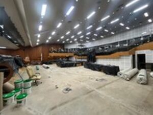 reforma do Plenário