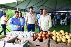 DANIEL VILELA GOVERNADOR (3)