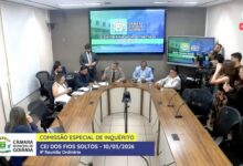 ccj camaragyn_800x492