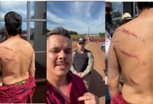 fabricio Rosa_800x475