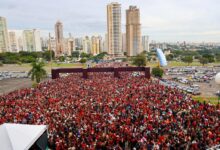 Comunicação Totus Tuus 2026