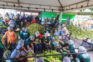 Pamonhada Comunitária de Caçu (2)_