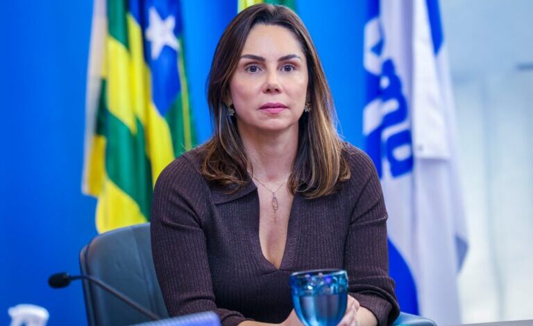 Renata-Noleto-secretaria-Economia