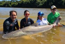 Pescaria-no-Araguaia_Goias-Turismo