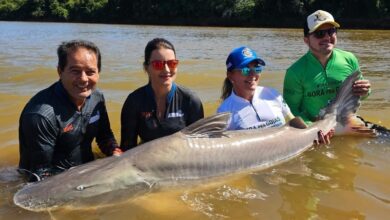 Pescaria-no-Araguaia_Goias-Turismo