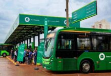 Romaria-de-Trindade-tera-transporte-coletivo_