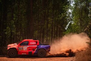 rally 3_800x533